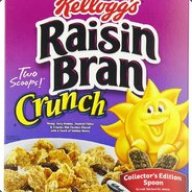 RAiSiN_BrAn