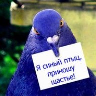 ninzja777