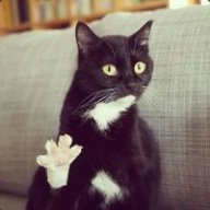Whiskers