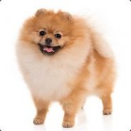 ReplayGhost
