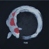 Koi