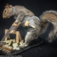 MrChippy