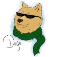Doge