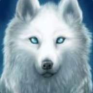 ThyBlueWolf