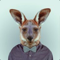 Skipcast