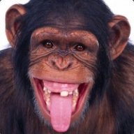 Highmonkeys