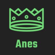 AnesZigo