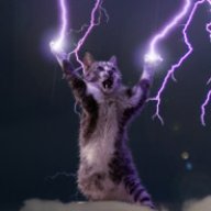 Varnik
