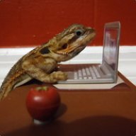 jimmyimagamer