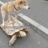 TheMedigator