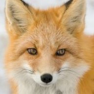 Ovidijus