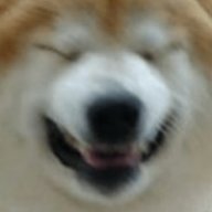 Matto