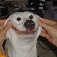 benwiegs