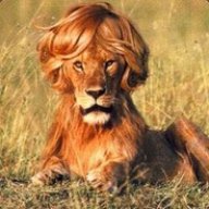 rifmir