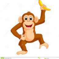 monkey 00124