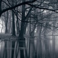 Obscuro