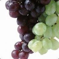 Vlezx