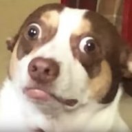rustjakey