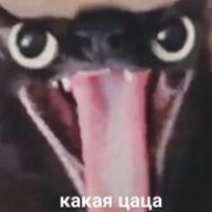 Armata