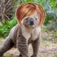 KoalaOverlord