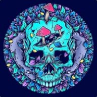 Steven2236