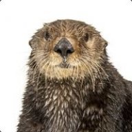 falkonr