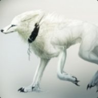 NexusIOI