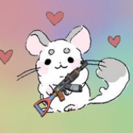chinchillacat