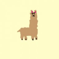LlamaFromMyspace