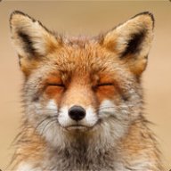 BayX