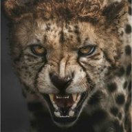 Cheetagrl