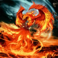 Phoenix3111