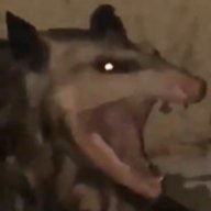 rotten_rat