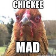 Madchicken