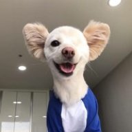 desmond