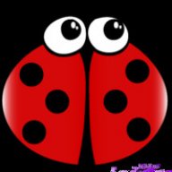 ladybgr