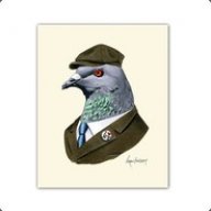 KINO