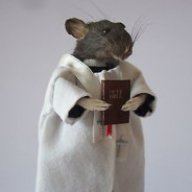 Squirrel Dealer