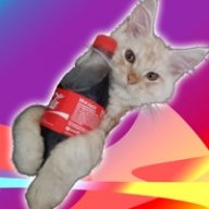 CokeKitten