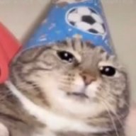 catt