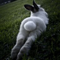 wabbit420