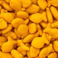 Sexy Goldfish