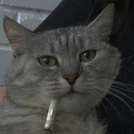 pariz