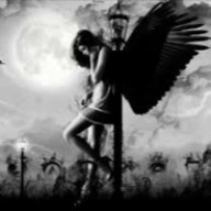 AngelF0X