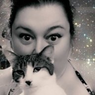 SuperKitten