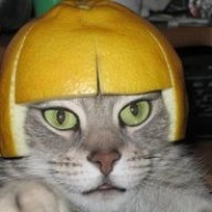 Daegen