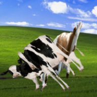 moopile