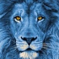 LionTheGreat