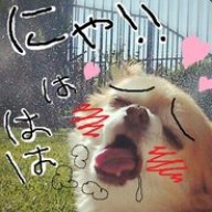 A Jiggly Fatkid