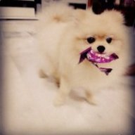 CandyEviL
